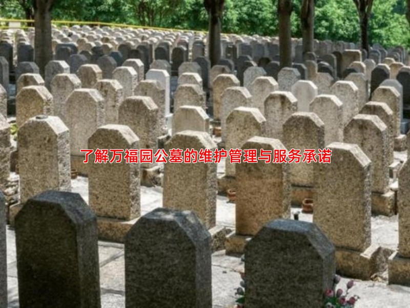 了解万福园公墓的维护管理与服务承诺
