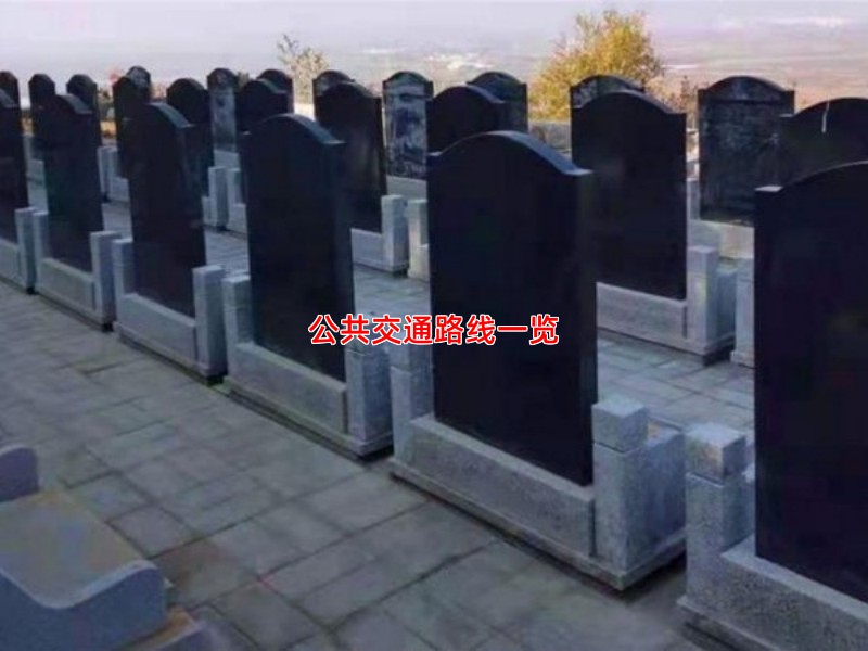 公共交通路线一览