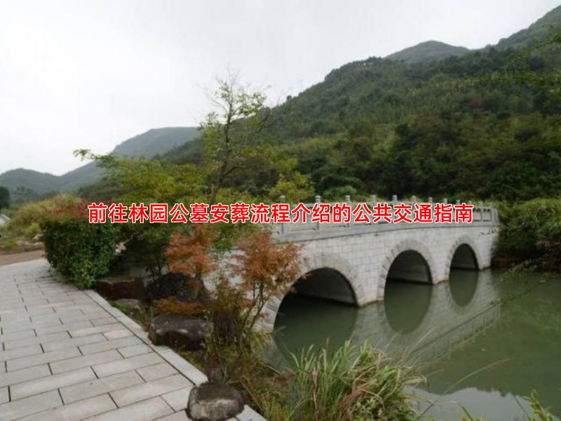 前往林园公墓安葬流程介绍的公共交通指南