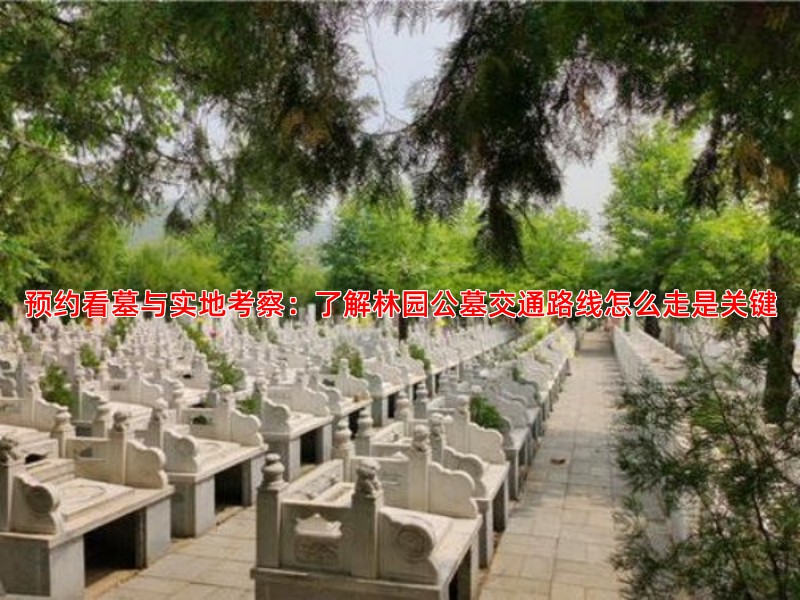预约看墓与实地考察：了解林园公墓交通路线怎么走是关键