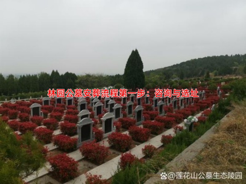 林园公墓安葬流程步：咨询与选址
