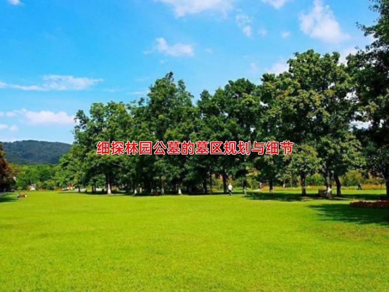 细探林园公墓的墓区规划与细节