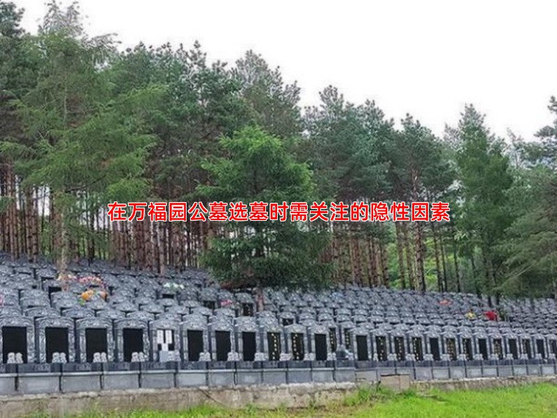 在万福园公墓选墓时需关注的隐性因素