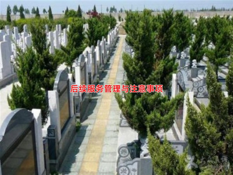 后续服务管理与注意事项