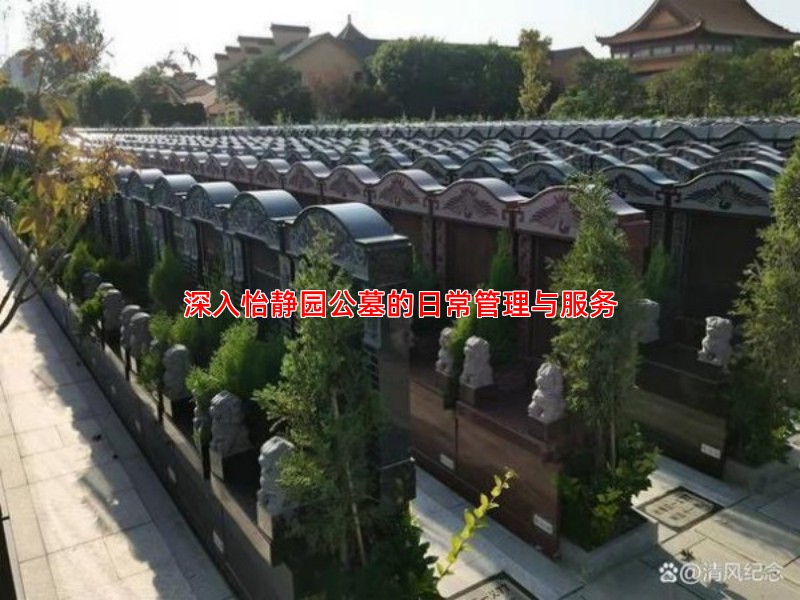 深入怡静园公墓的日常管理与服务