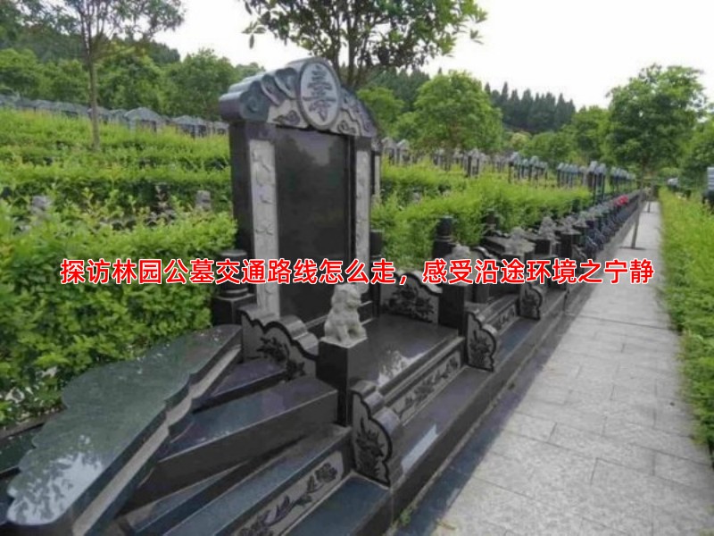探访林园公墓交通路线怎么走，感受沿途环境之宁静
