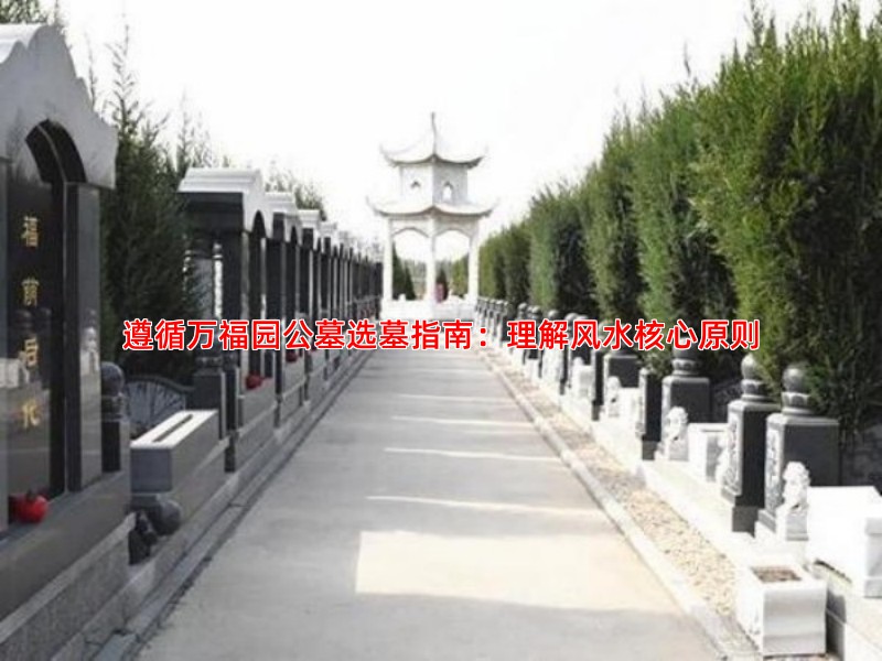 遵循万福园公墓选墓指南：理解风水核心原则