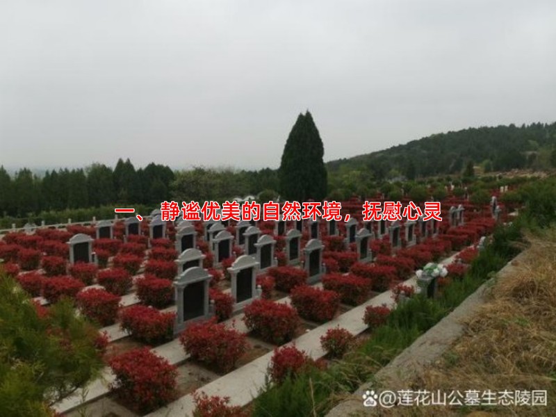 一、 静谧优美的自然环境，抚慰心灵