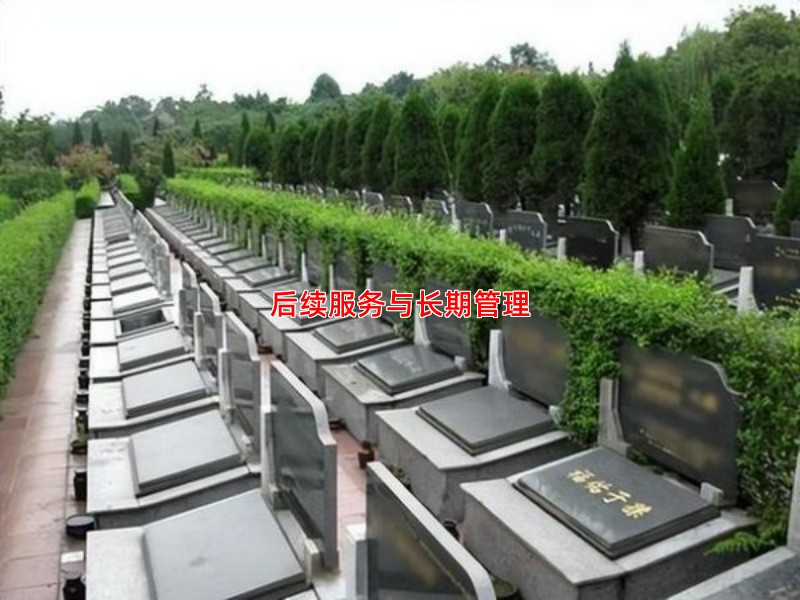 后续服务与长期管理