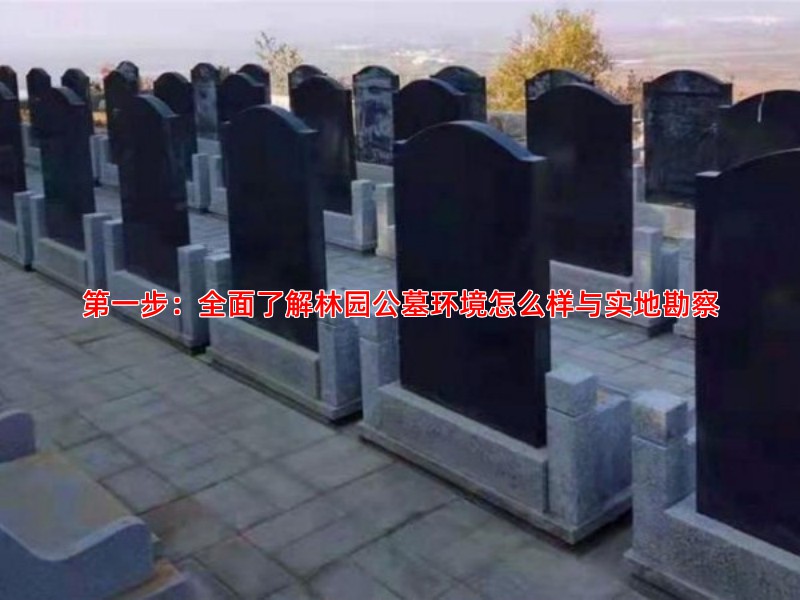 步：全面了解林园公墓环境怎么样与实地勘察