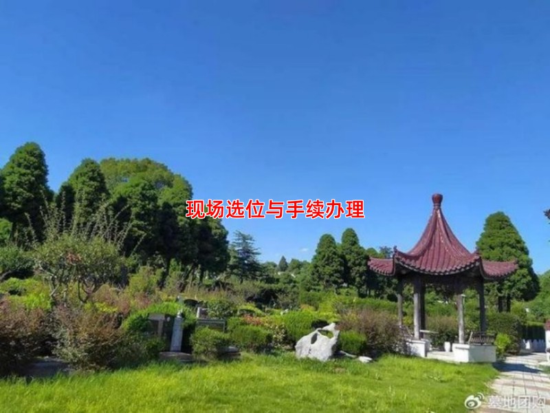 现场选位与手续办理