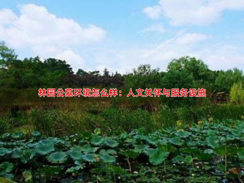 林园公墓环境怎么样：人文关怀与服务设施
