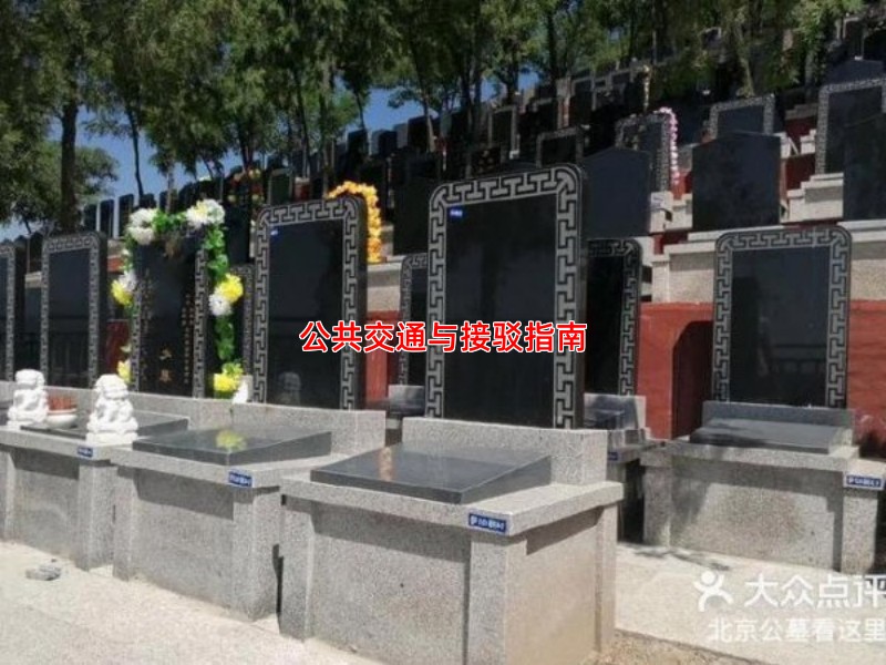 公共交通与接驳指南