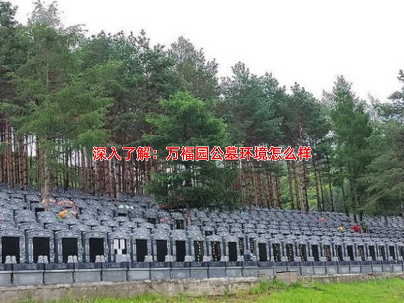 深入了解：万福园公墓环境怎么样