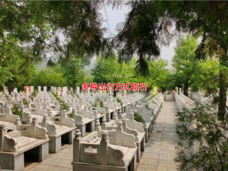 多种出行方式指引