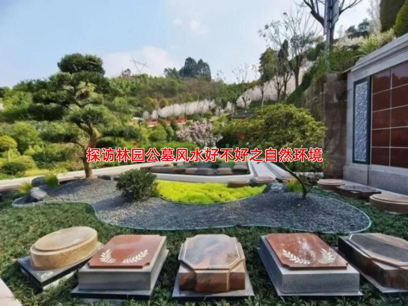 探访林园公墓风水好不好之自然环境