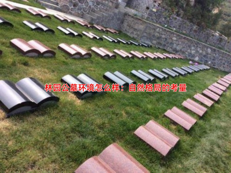 林园公墓环境怎么样：自然格局的考量
