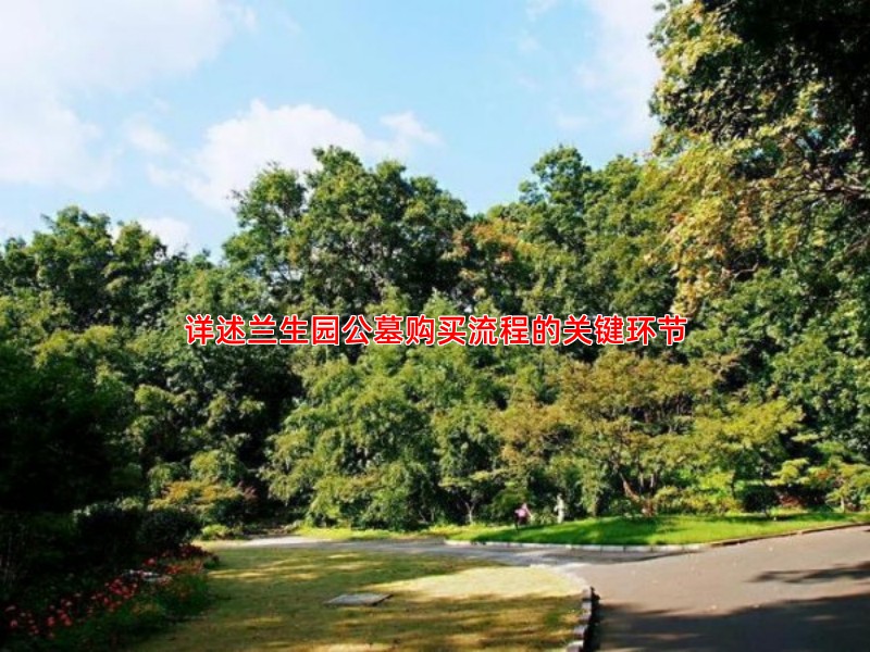 详述兰生园公墓购买流程的关键环节