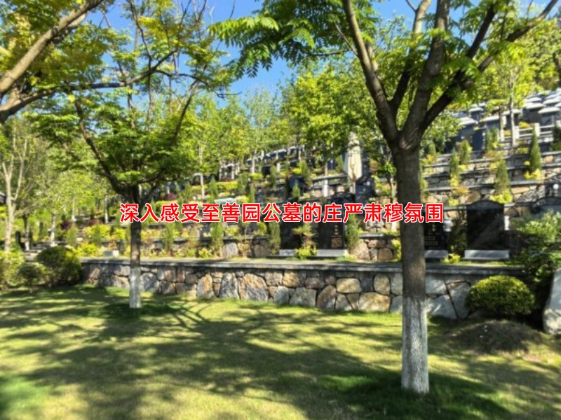 深入感受至善园公墓的庄严肃穆氛围