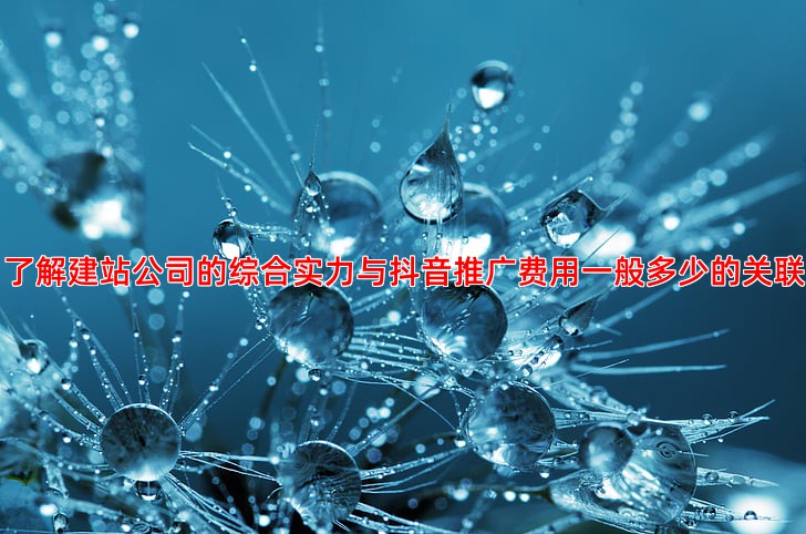 了解建站公司的综合实力与抖音推广费用一般多少的关联