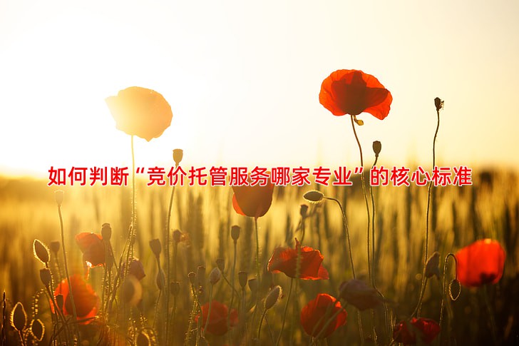 竞价托管服务专业选择全攻略