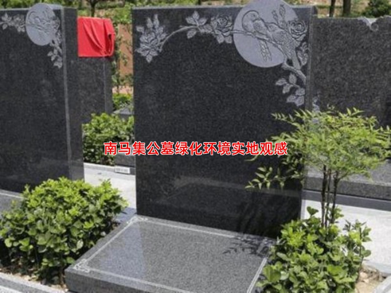 南马集公墓绿化环境实地观感