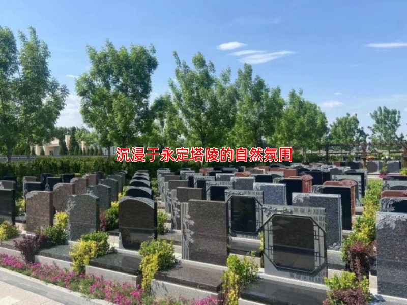 沉浸于永定塔陵的自然氛围