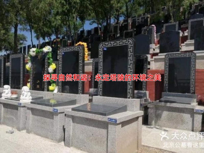 探寻自然和谐：永定塔陵的环境之美
