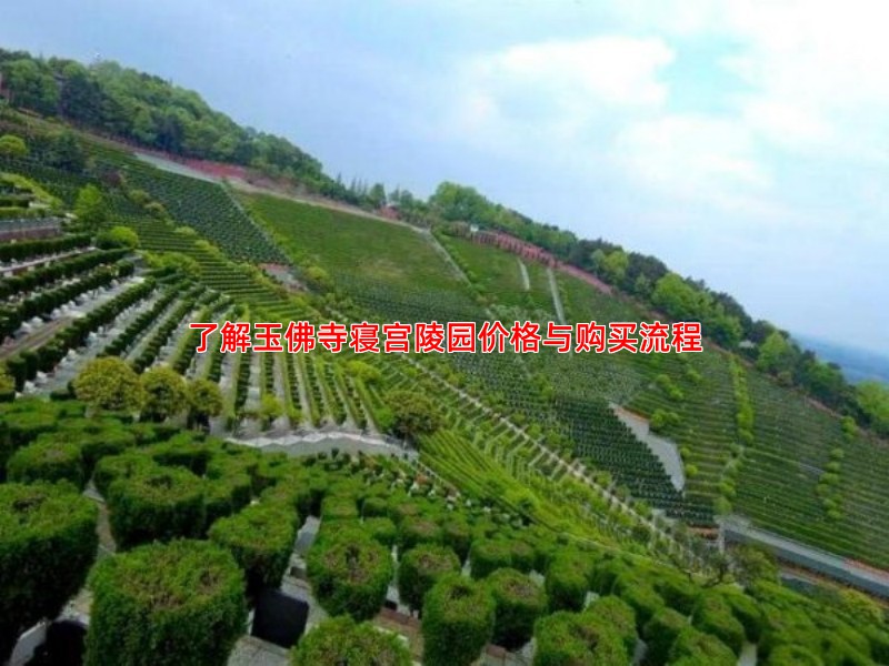 了解玉佛寺寝宫陵园价格与购买流程