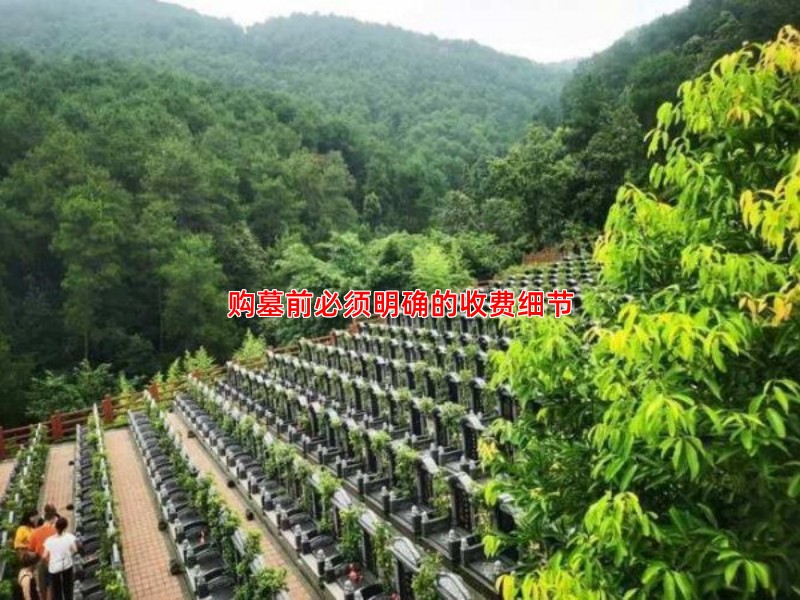 购墓前必须明确的收费细节