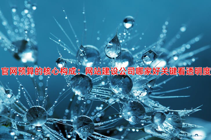 做一个企业官网需要多少预算，费用构成全解析