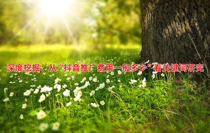 网站SEO优化教程关键词研究与布局实战