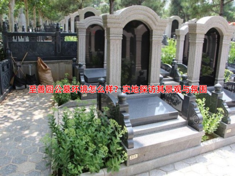 至善园公墓环境怎么样？实地探访其景观与氛围