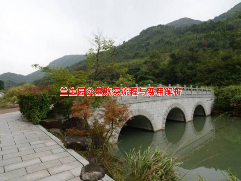 兰生园公墓购买流程与费用解析