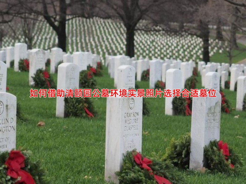 如何借助清颐园公墓环境实景照片选择合适墓位