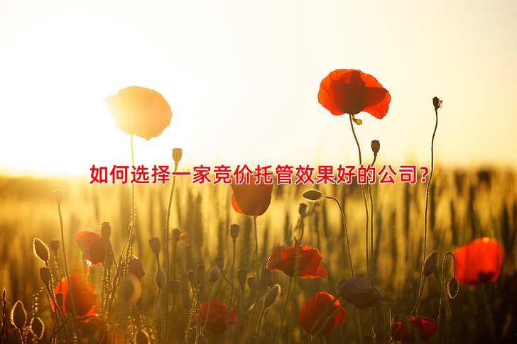 如何选择一家竞价托管效果好的公司？
