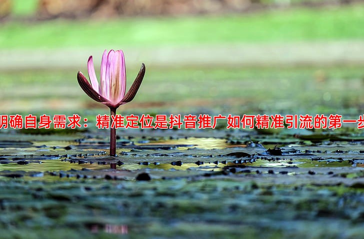 网站建设服务商筛选指南，助您找到合适合作伙伴