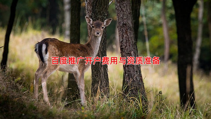 百度推广开户费用详解从开户到投放全流程