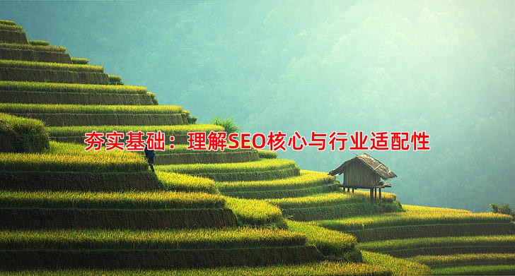 从零开始学习SEO优化具体需要做些什么