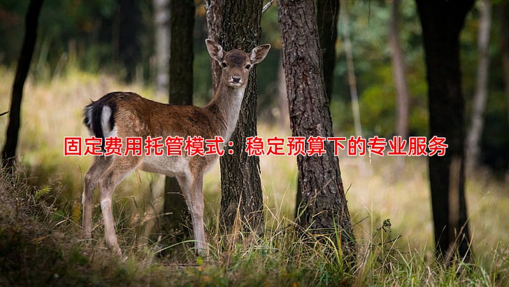 百度竞价托管收费模式解析：固定费用与效果付费哪种更划算