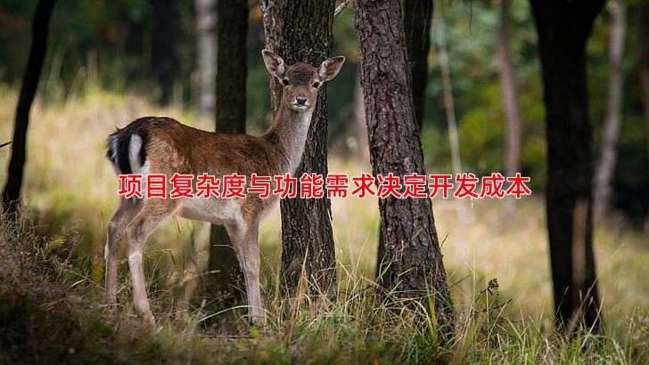 影响响应式网站价格的关键因素有哪些