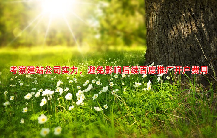 网站建设公司怎么选，看完这篇就懂了