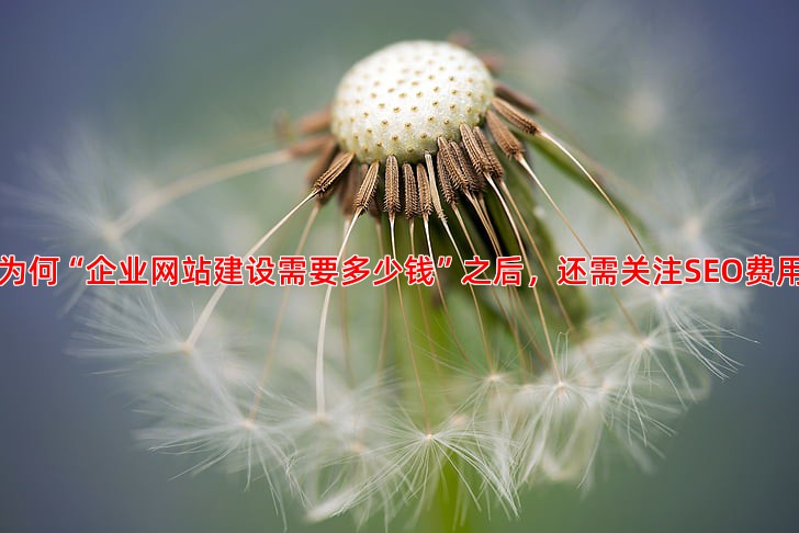 SEO优化费用解析，从几千到几万到底有什么区别