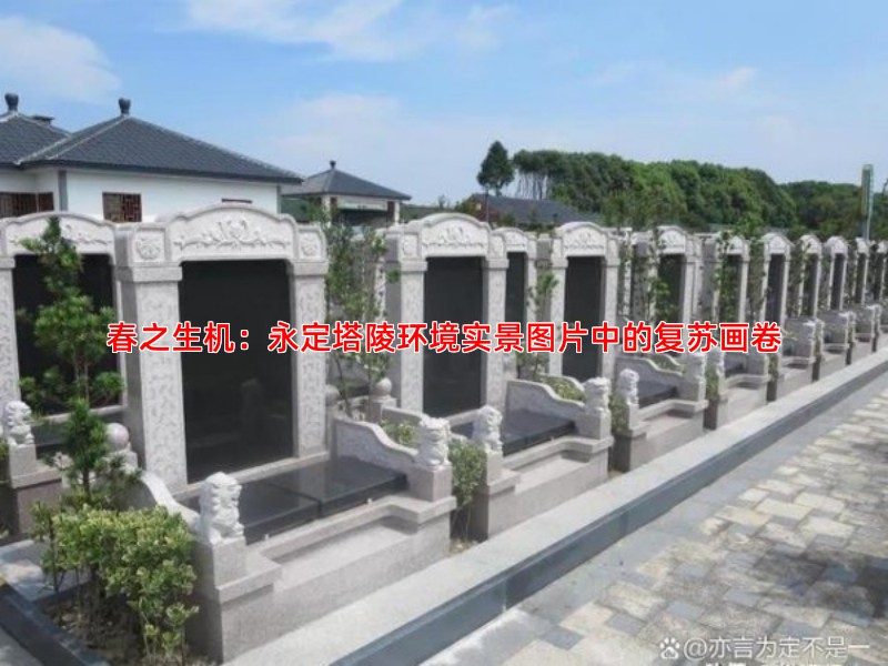 春之生机：永定塔陵环境实景图片中的复苏画卷