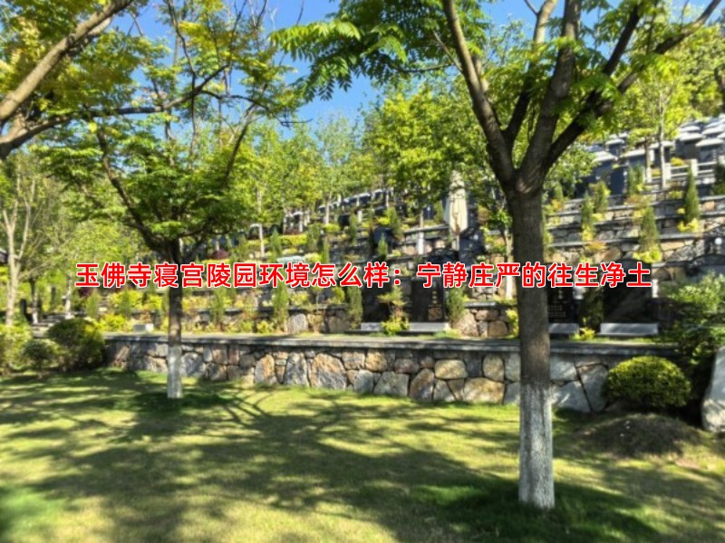 玉佛寺寝宫陵园环境怎么样：宁静庄严的往生净土