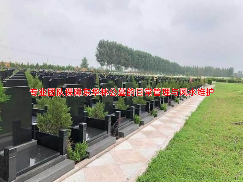 专业团队保障东华林公墓的日常管理与风水维护