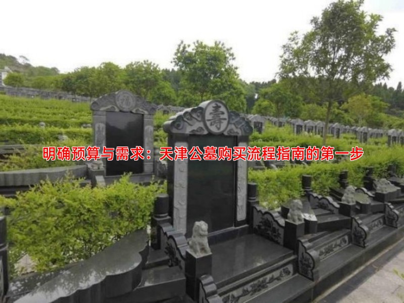 明确预算与需求：天津公墓购买流程指南的******步