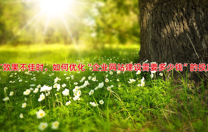 百度推广遇到问题？拨打官方客服电话快速解决