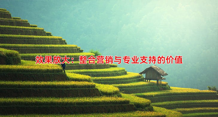 效果放大：整合营销与专业支持的价值
