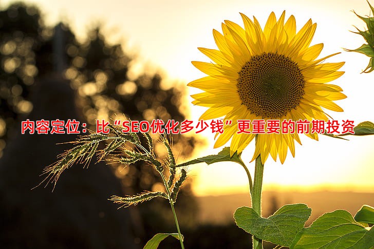 从零开始学习抖音推广的精准引流方法